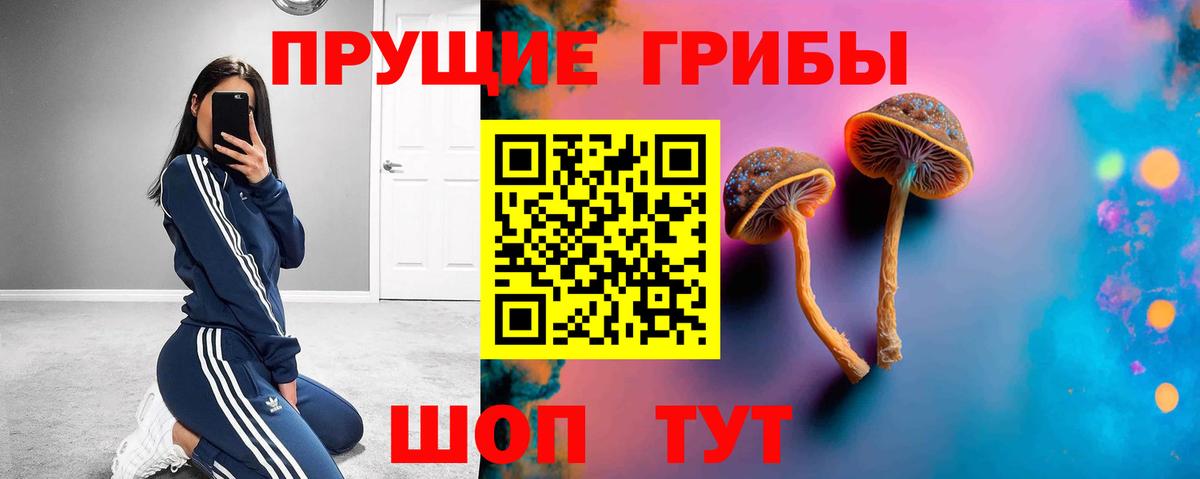 Ростов-на-Дону  Галлюциногенные грибы MAGIC MUSHROOMS  Псилоцибиновые грибы Psilocybe  Вход с VPN 